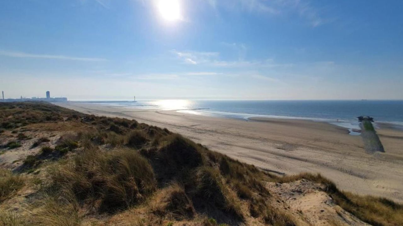 AreaSummer20KM AreaSummer20KM